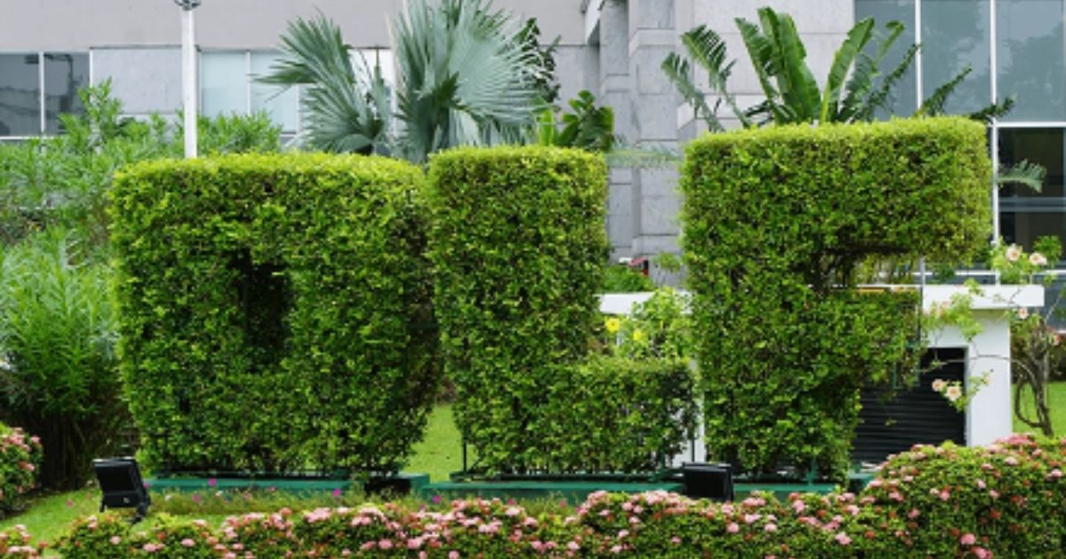 Office Space For Sale in DLF Cybercity, Gachibowli, Hyderabad Office Space For Sale in DLF Cybercity, Gachibowli, Hyderabad