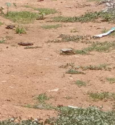 residential plot 150Sq.Yd for sale in Adikmet