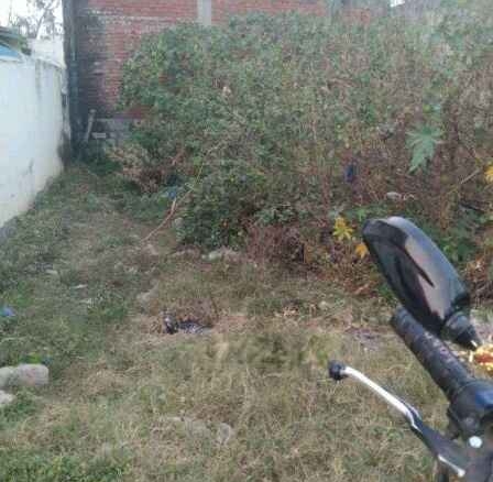 900 Sq. Ft Residential plot for sale in Langar Houz