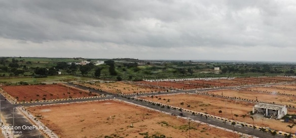 267 Sq.yd Residential Plot for Sale in Tukkuguda