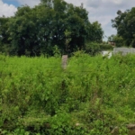 Residential plot for sale