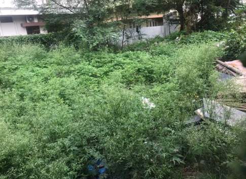 Residential plot for sale