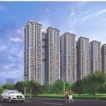 3BHK Flats for Sale at Nyla in Miyapur