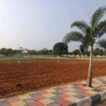 Residential Plots for Sale at ASR Hans in Narayankhed